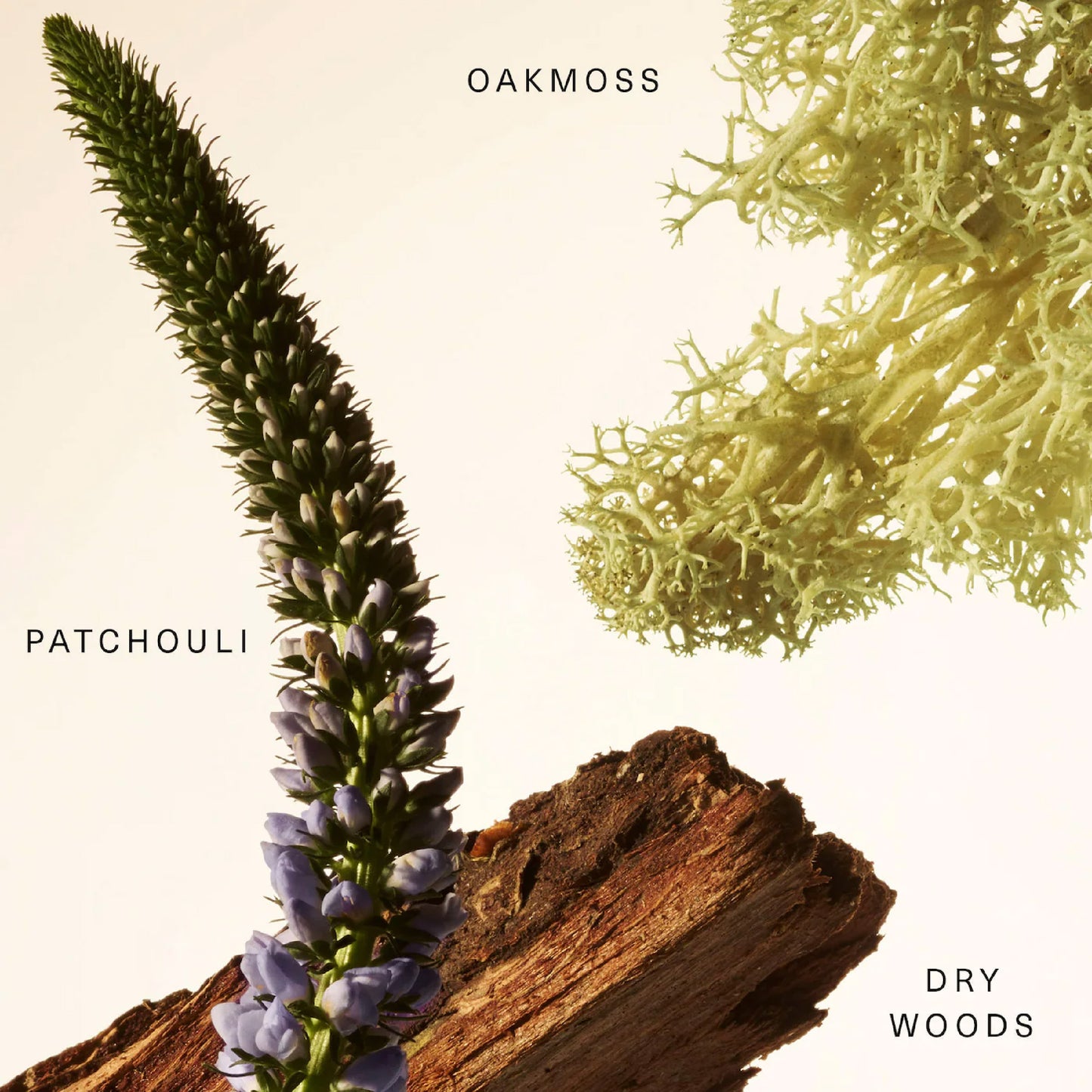 Woody Oak Fragancia Balsamo  - A Pedido